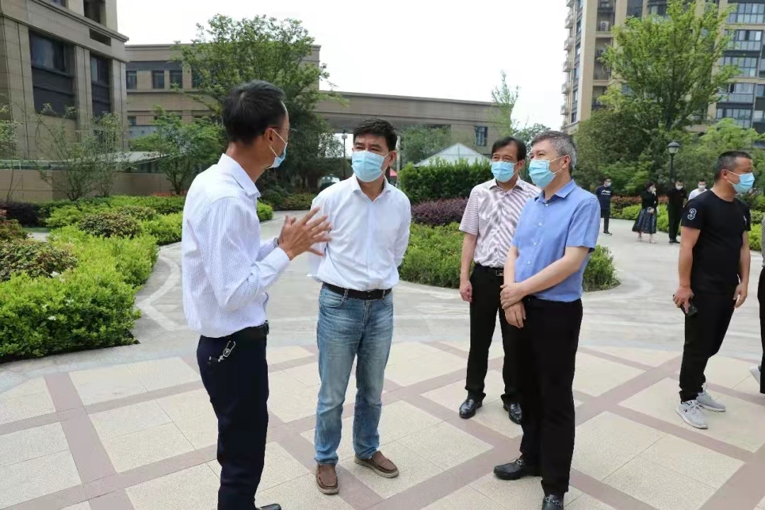 994603715.jpg